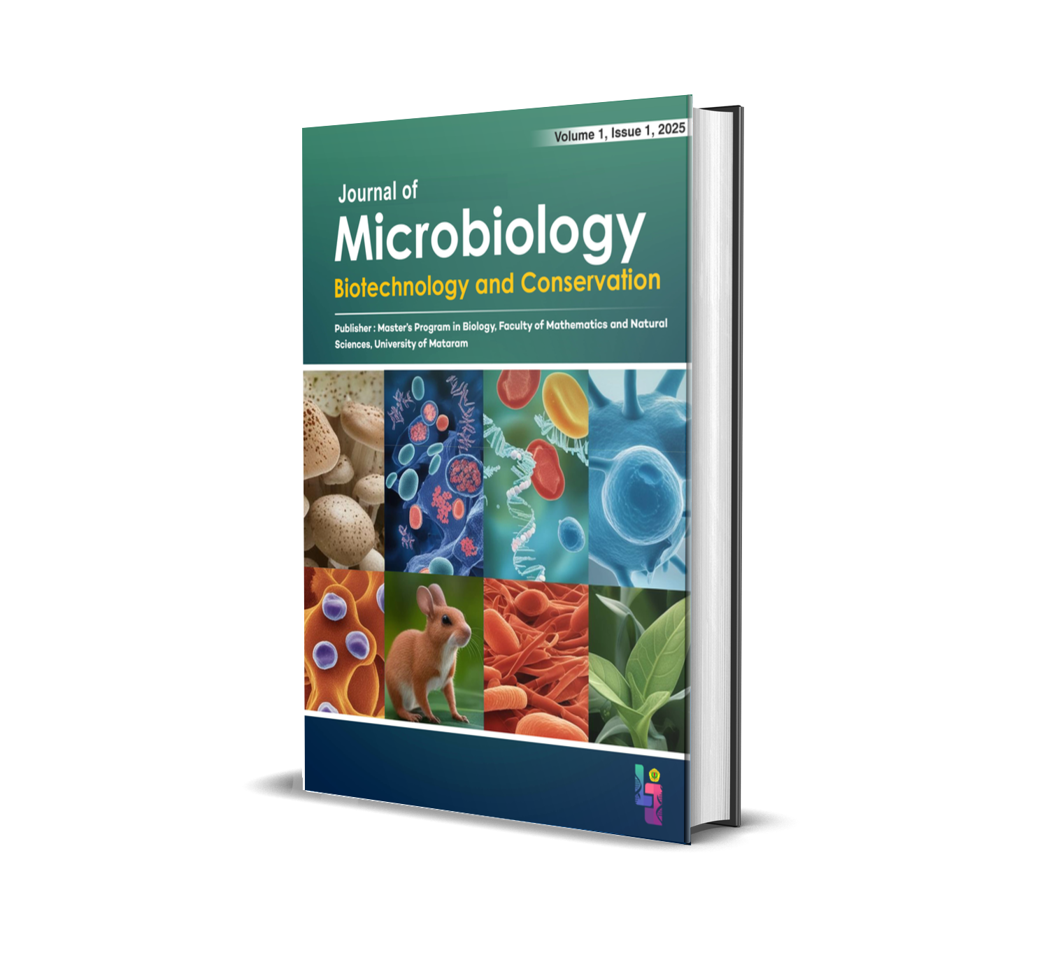 cover2