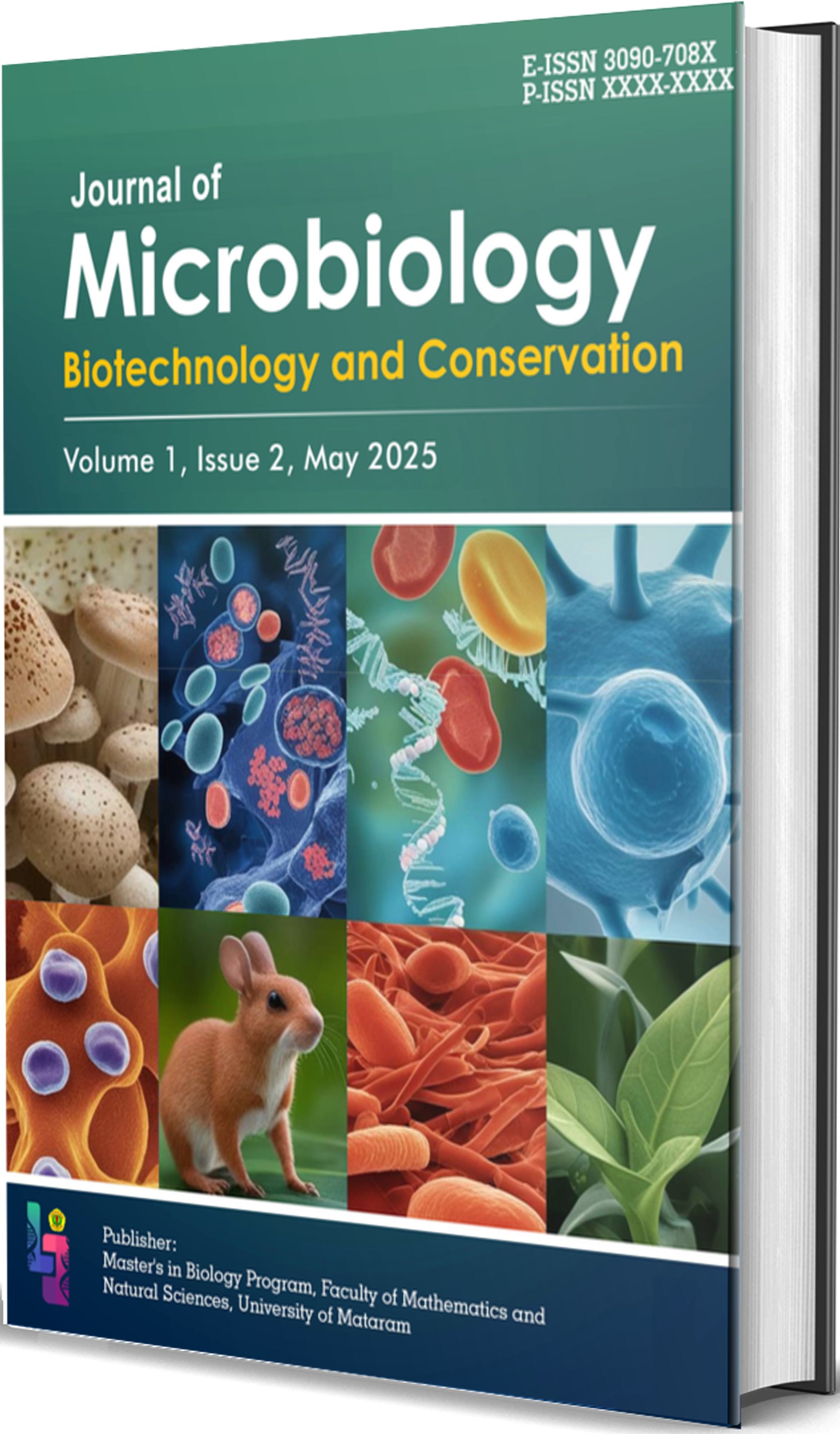 cover2